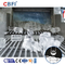 CBFI Freon 30 ton Solid Flat Cut Ends Ice Tube Maker W pełni automatyczna
