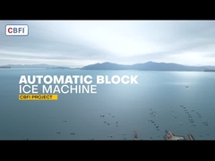 15 ton bezpośrednio chłodzący blok lodowcowy dla owoców morza